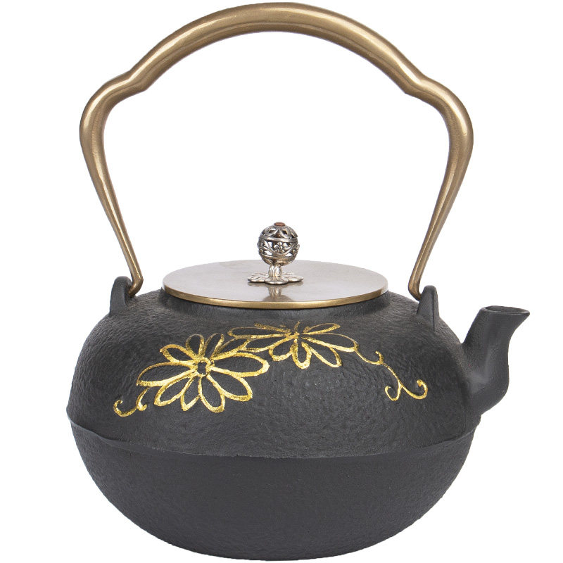 铁壶铸铁泡茶专用烧水壶电陶炉煮茶器仿日本手工铁茶壶煮水壶套装