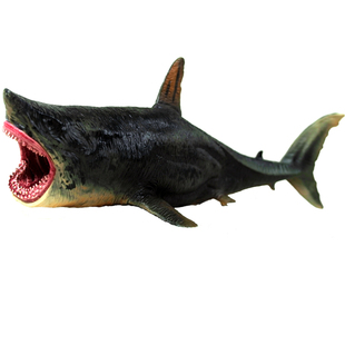 海洋史前巨兽仿真巨齿鲨食人大白鲨鱼模型玩具动物深怪兽儿童礼物
