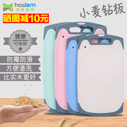 哈斯勒姆小麦菜板切菜板抗菌防霉砧板水果案板塑料家用刀板擀面板