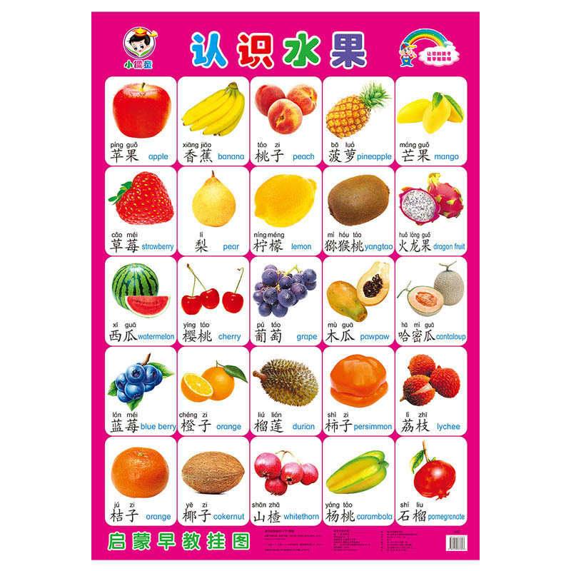 学习婴幼儿启蒙益智认字早教挂图
