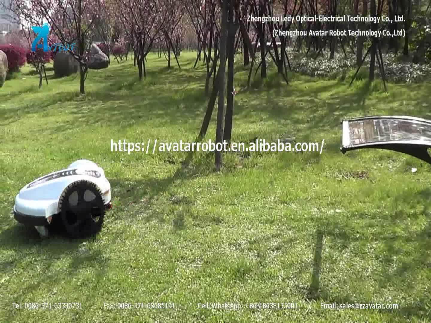 cheap grass cutting
