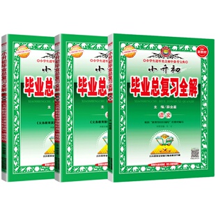 小升初毕业总复习全解语文数学英语科学全套薛金星人教版教材全解小学升初中系统总复习专项资料六年级下册小升初必刷题真题卷2025