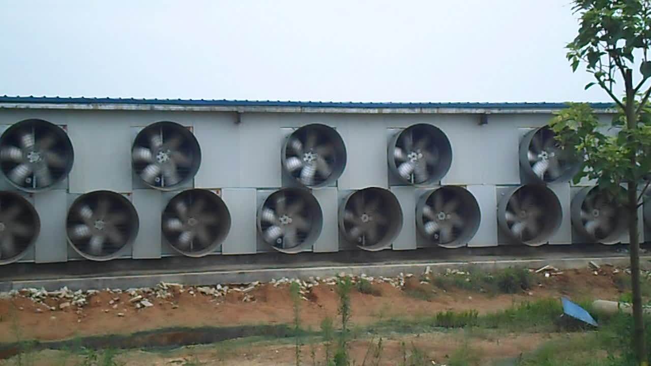 Hanhong Poultry Farm Exhaust Fan For Sale Buy Poultry Farm Exhaust