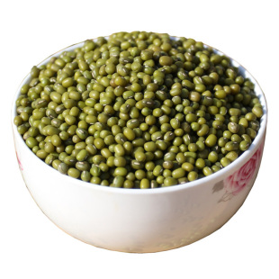 新货 东北绿豆发芽专用 非抛光能发芽的绿小豆 可以做绿豆粥