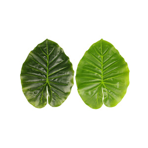 仿真叶子水果店装饰叶垫底叶子滴水观音叶子植物墙假叶过胶大叶片