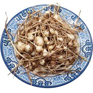 小根蒜种子野菜种籽野生薤白野小蒜山蒜葱籽种蔬菜种东北大脑瓜孑