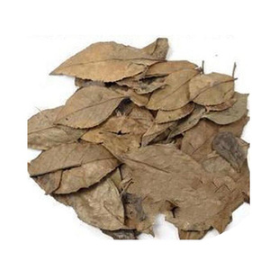 中药材  南烛叶 乌饭叶 500g 竹叶 墨饭叶南烛枝叶中草药