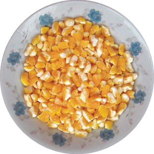 大玉米碴子5斤黄玉米仁陕北苞谷干颗粒70年代老品种农家2024年新