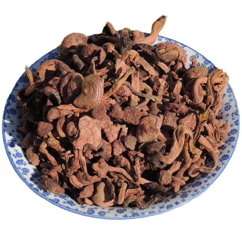 野生红松伞散装红蘑菇野生菌菇