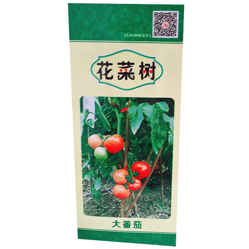 西红柿有机种植蔬菜种子