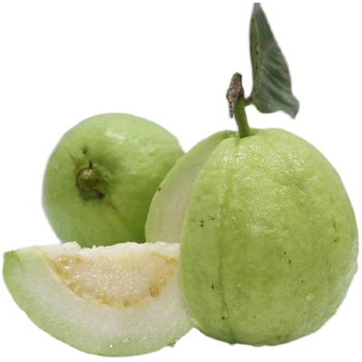 热销！现摘白心芭乐5斤老树果