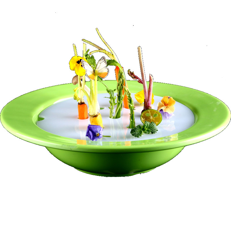 网红烧烤餐厅植物自动生长沙拉餐具万物绿色草原意境菜会生长的盘