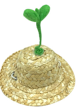 diy猫咪小狗狗宠物向日葵草帽