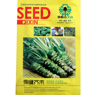 芥末种子/特呛鼻子的芥末种子/辣味十足/好吃味浓/菜农寿司芥种子