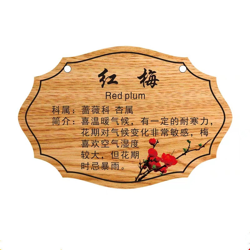 名称牌木吊牌树木花卉介绍牌广告牌标签树苗新品防腐草地生态园