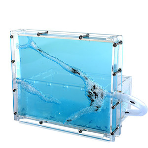 大型蚂蚁工坊别墅蚂蚁城堡宫殿第6代蚂蚁之家庄园送宠物蚂蚁60只