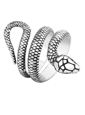 蛇形关节朋克风夸张百搭钛钢戒指