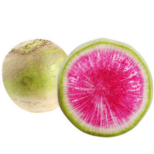 心里美萝卜种子北京满堂红水果萝卜种籽四季种植甜脆盆栽蔬菜种孑