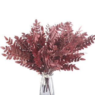 仿真槐树叶森系婚礼花艺插花材蜈蚣叶装饰假叶婚庆路引花草绢花艺