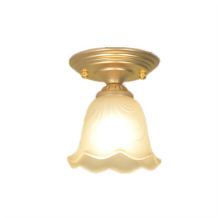 欧式铁艺简约铜色黑色白色单头小吸顶灯阳台玄关走廊过道灯饰包邮