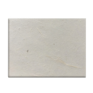 纯手工四六八尺纤维清水云龙构树皮纸书法作品国画创作半生熟宣纸