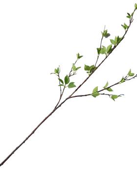 仿真花嫩芽绿植树枝单枝榕树仿生