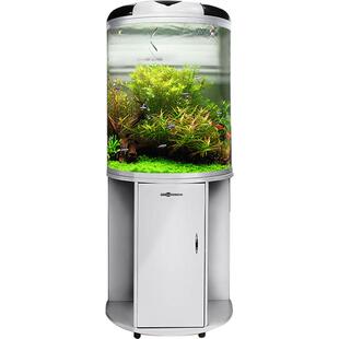 闽江半圆形鱼缸玻璃生态水族箱客厅家用小型圆柱金鱼缸大中型懒人