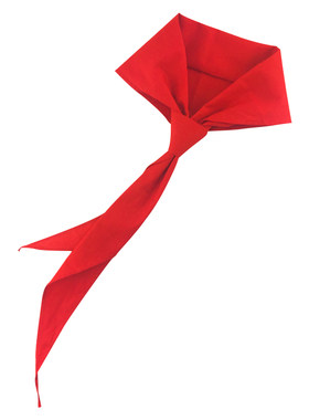 红领巾小学生纯棉通用大码学校
