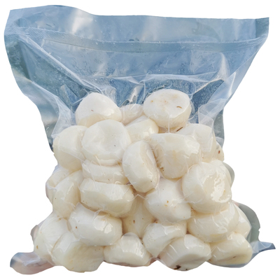 去皮马蹄一粒春荔浦新鲜直供