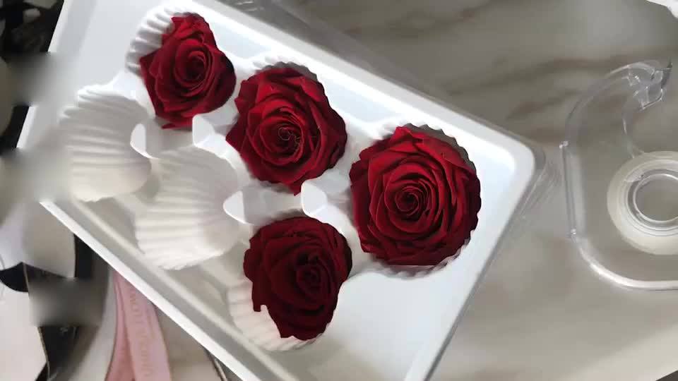 Wholesale Everlasting Rose Real Rose Preserved Flowers For Wedding