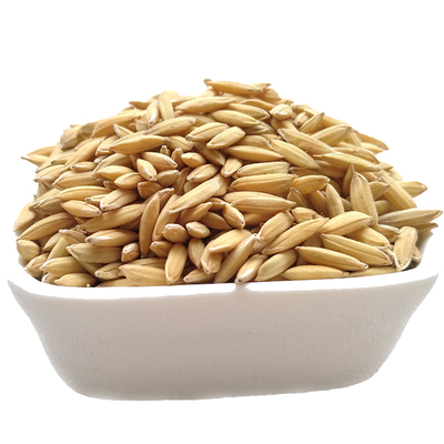 带壳稻谷饲料10斤鸽子鸽子鸟食新