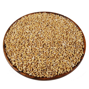 浮小麦 盗汗 浮小麦茶 500克包邮 另买甘草 大枣 浮麦