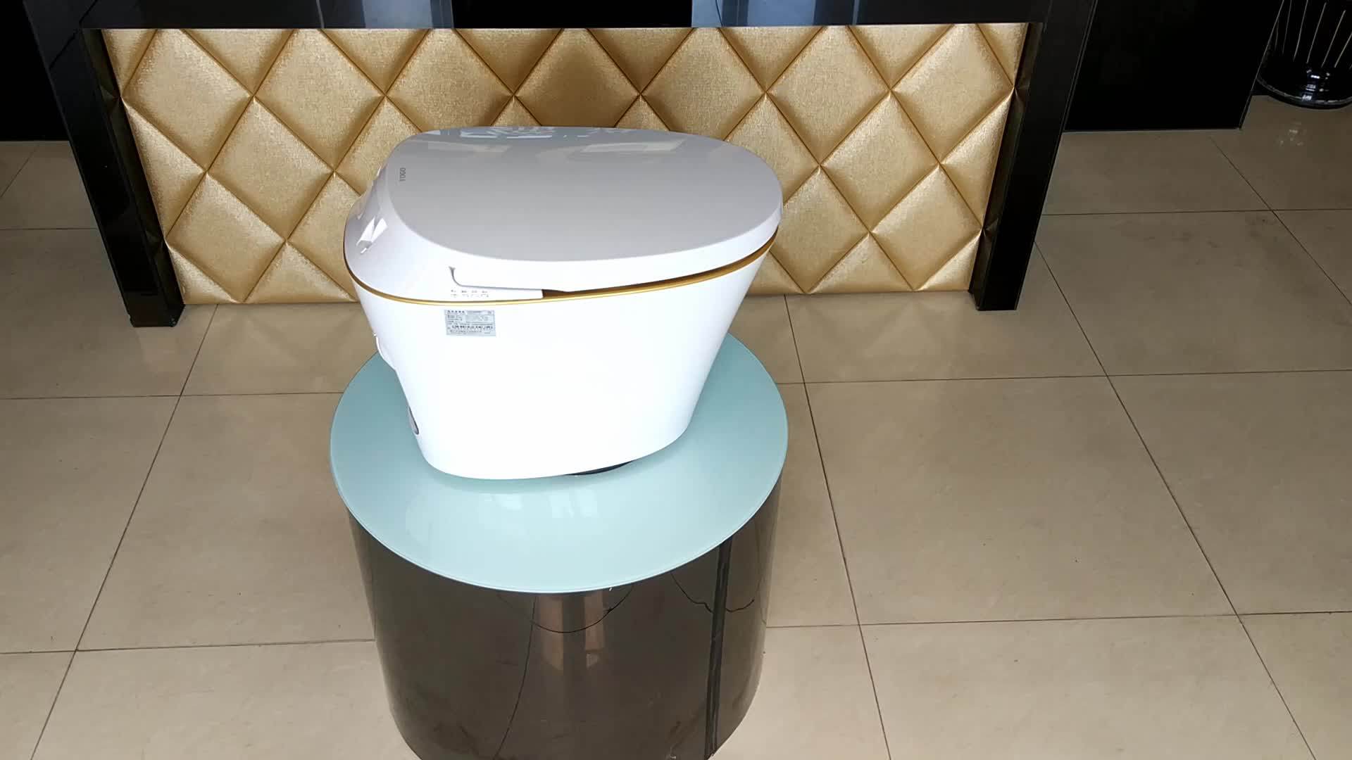 Bathroom Equipment Automatic Selfclean Toilet Seat Buy Selfclean