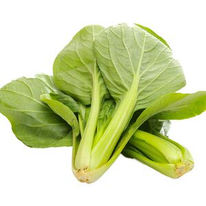泰生有机青菜300g mahota农产品有机时令蔬菜新鲜采摘同城配送