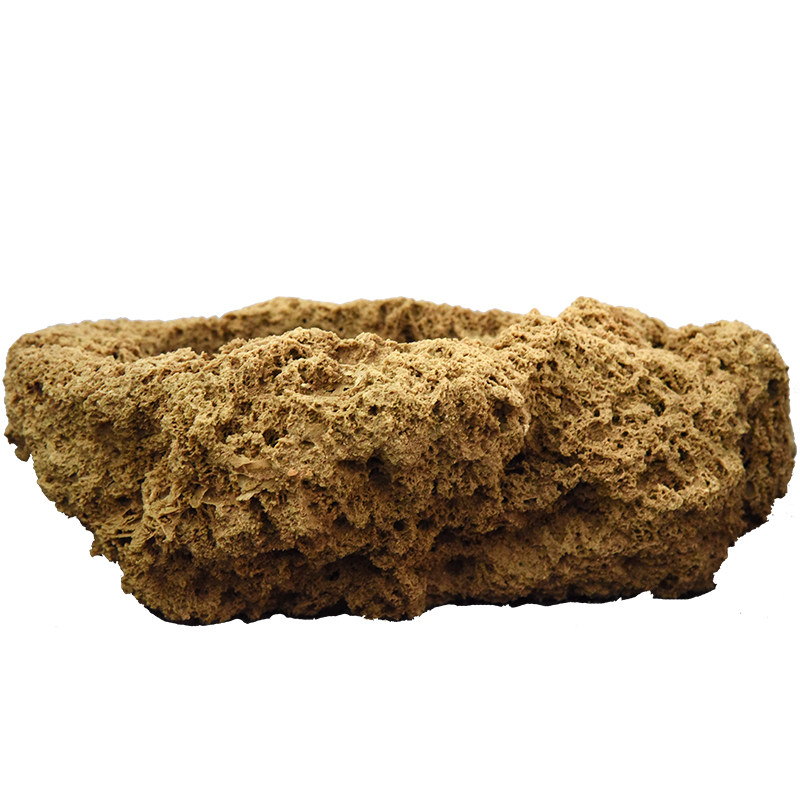 吸水石上水石摆件原石附石文竹菖蒲微景观苔藓新品多肉植物小花盆