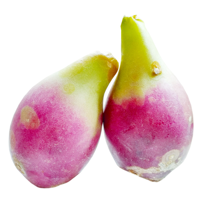 仙人掌果实 新鲜水果 仙人果 红皮中大果3斤精选现摘