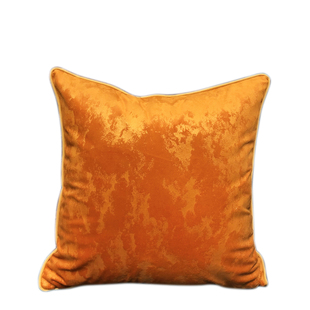 新款天鹅绒布靠垫客厅沙发卧室奢华高档抱枕靠背车内腰靠靠枕含芯