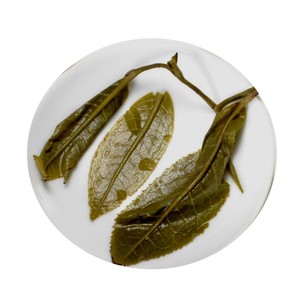 昌蓉景谷白茶 景谷月光白 普洱茶生茶七子饼茶 月光美人单芽