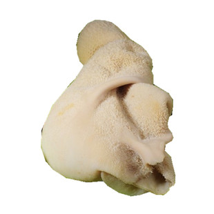 羊肚生鲜单品700克新疆草原放牧绵羊无污染生态羊胃下水羊杂包邮