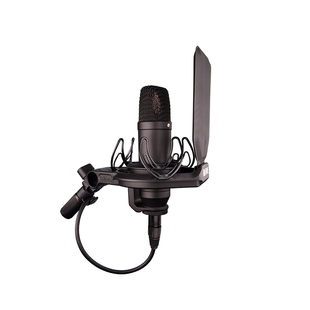 RODE罗德NT1 5th大振膜电容录音专业话筒K歌直播配音有声书麦克风