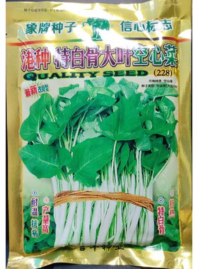 港种特白骨大叶空心菜种子400克