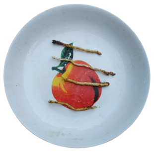 苦菜根中药材纯野生苦麻菜野菜苦碟子根农家现挖种籽500g顺丰包邮