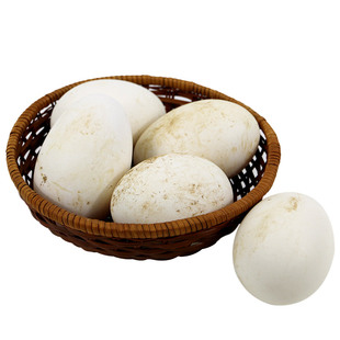 密云农家散养鹅蛋新鲜营养粮食喂养 孕妇宝宝 鹅蛋6枚