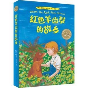 红色羊齿草的故乡 6-9-12岁中小学少儿童成长励志短篇小说课外故事书动物小说爱心树世界经典童书精选世界经典外国儿童文学