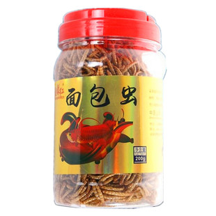 面包虫干鱼饲料观赏鱼粮宠物爬虫锦鲤金龙鱼海水淡水鱼黄粉虫鱼食