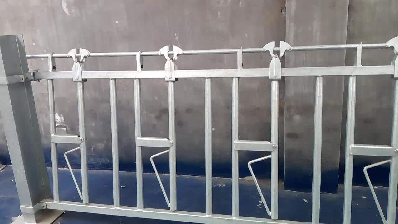 Cattle Livestock Feeder Used Cow Headlocks For Sale Buy Cow Farm
