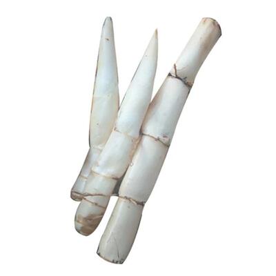 野生新鲜芦苇根中药材500g包邮