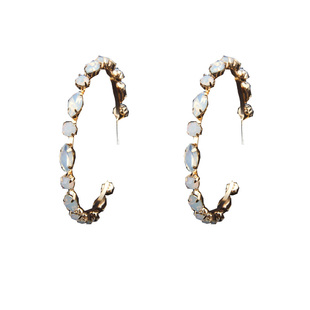 物种 BLACKPINK新专辑Lisa同款耳环大圆圈显瘦潮气质耳夹无耳洞