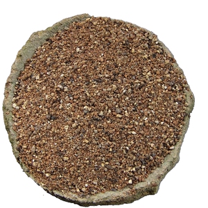 卷柏还魂草 菖蒲盆景秘制土绿植 铺盆面专用天然风化红石掌柜推荐