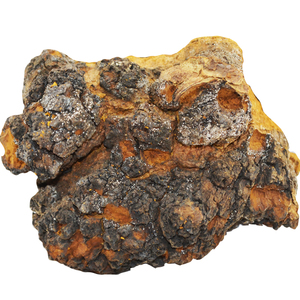 福源堂 长白山野生桦褐孔菌 野生白桦茸 桦树灵芝 灵芝 250克